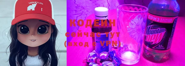 дмт Нягань