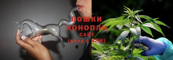 дмт Нягань