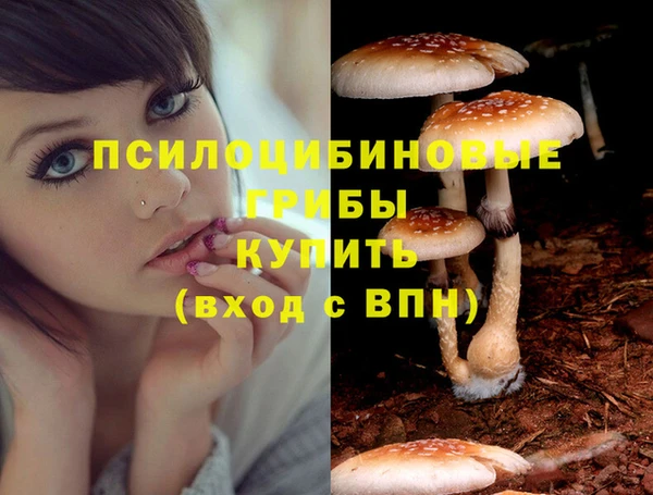 дмт Нягань