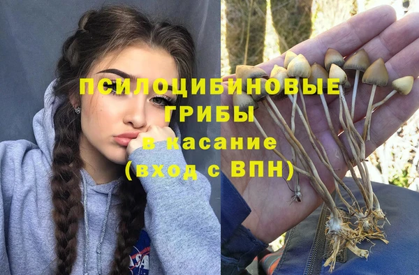 метамфетамин Нязепетровск