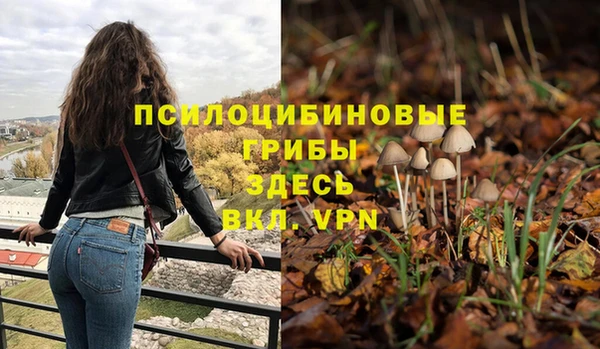 дмт Нягань