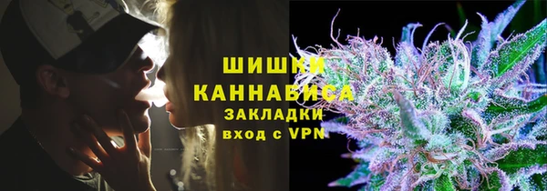 дмт Нягань