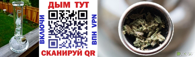 Шишки марихуана SATIVA & INDICA hydra ONION Кодинск где найти